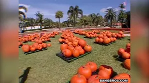 Jade Skye's big natural tits get hard