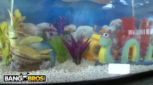 A young man seduces Brooke with her big