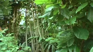 Steamy and hardcore scene with a