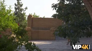 The luckiest guy at the wedding banged