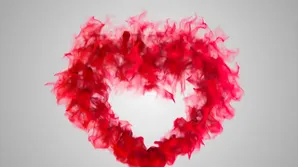 AgedLove featured a hardcore scene with